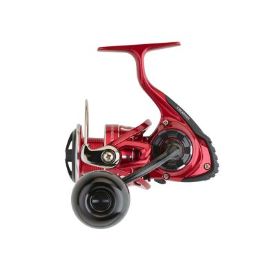 Daiwa BG RR ARK 6.000